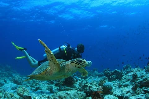 Amilla Maldives - 3. kép