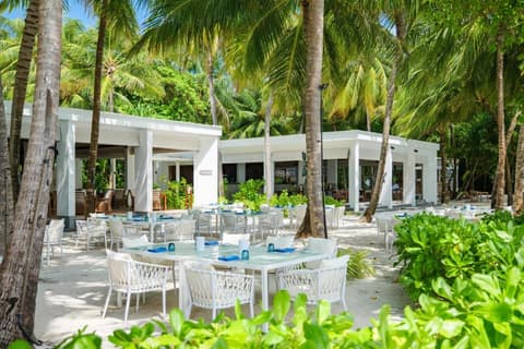 Amilla Maldives - 4. kép