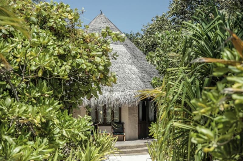 Coco Palm Dhuni Kolhu - Tengerparti villa - Image 1