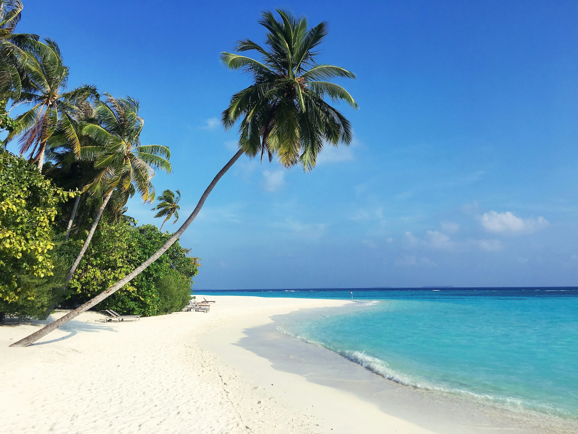 Maldives Paradise